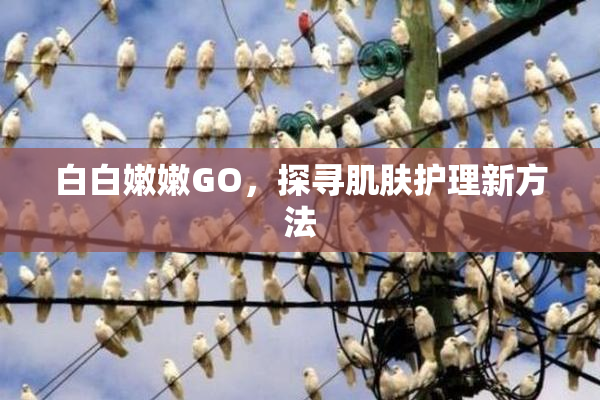 白白嫩嫩GO，探寻肌肤护理新方法