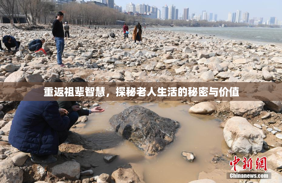 重返祖辈智慧，探秘老人生活的秘密与价值