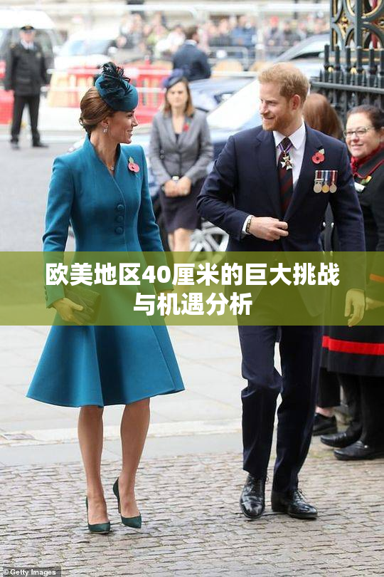 欧美地区40厘米的巨大挑战与机遇分析
