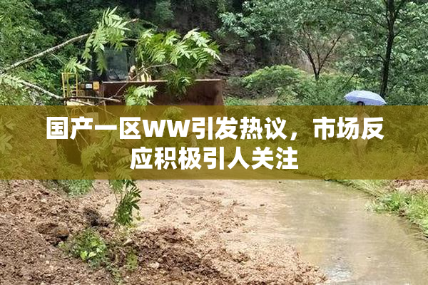 国产一区WW引发热议，市场反应积极引人关注