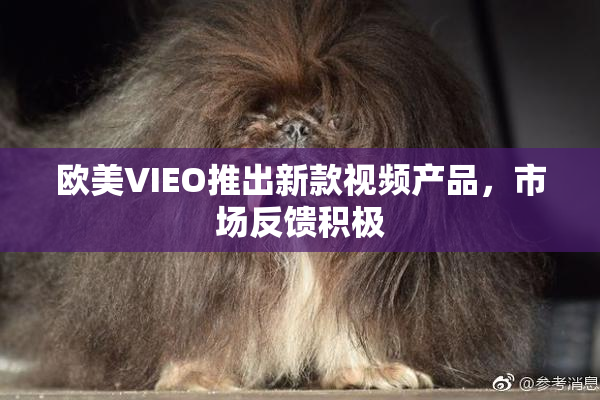 欧美VIEO推出新款视频产品，市场反馈积极