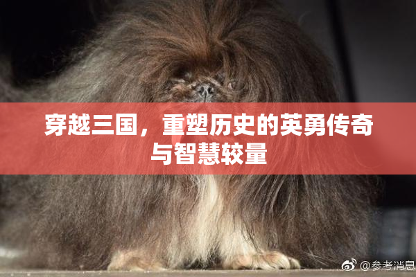 穿越三国，重塑历史的英勇传奇与智慧较量