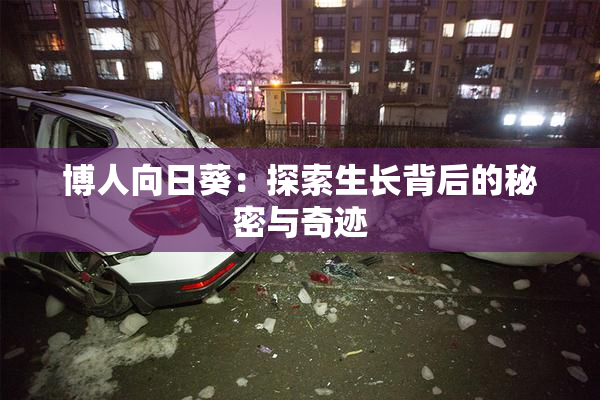 博人向日葵：探索生长背后的秘密与奇迹