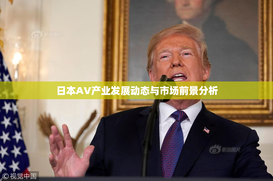 日本AV产业发展动态与市场前景分析