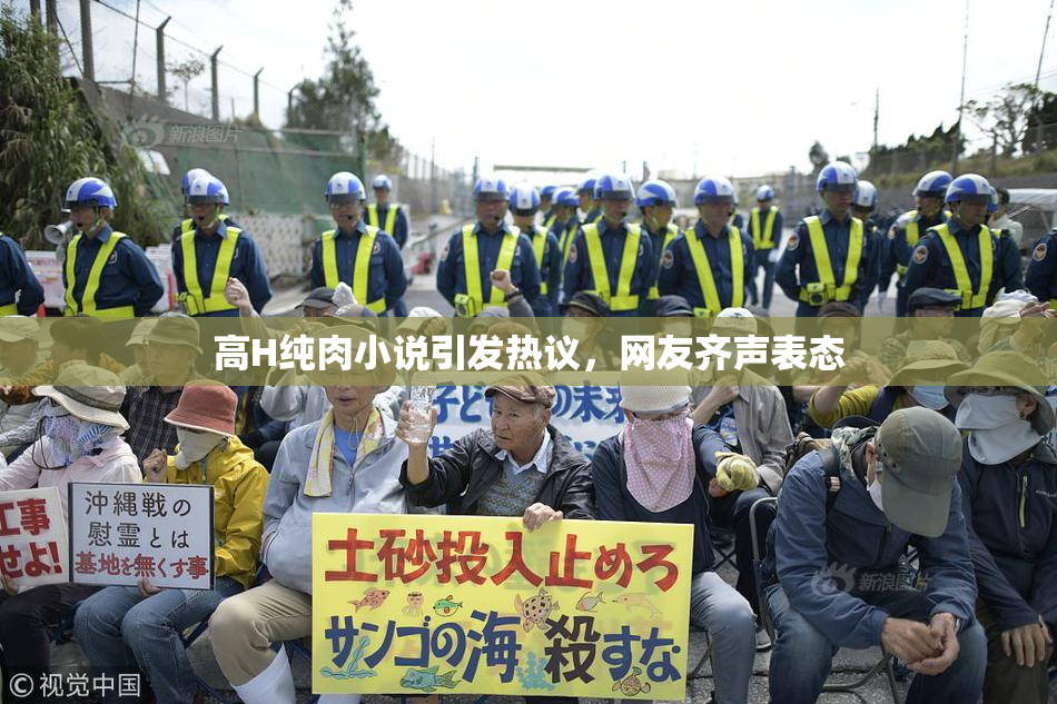 高H纯肉小说引发热议，网友齐声表态