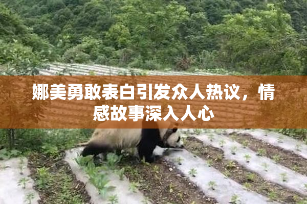 娜美勇敢表白引发众人热议，情感故事深入人心