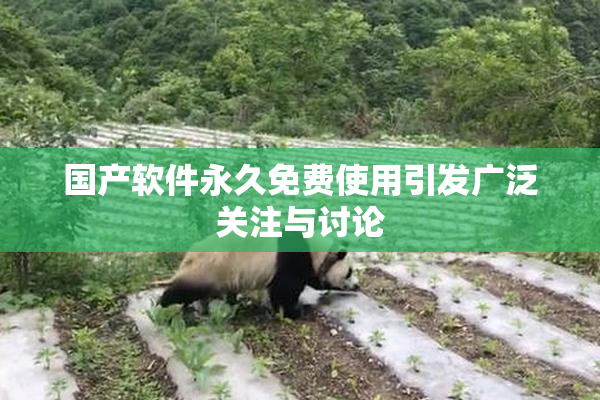 国产软件永久免费使用引发广泛关注与讨论