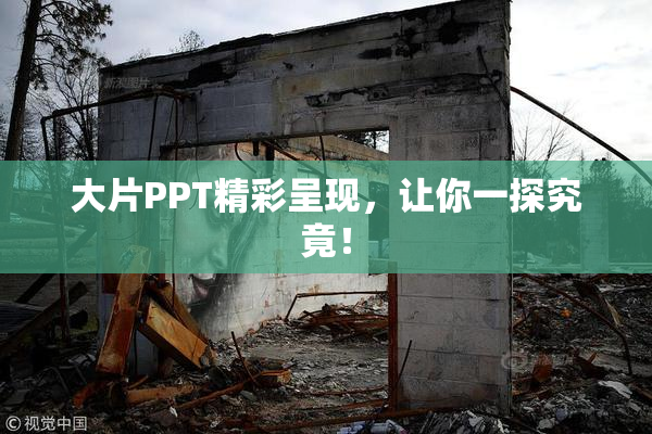 大片PPT精彩呈现，让你一探究竟！