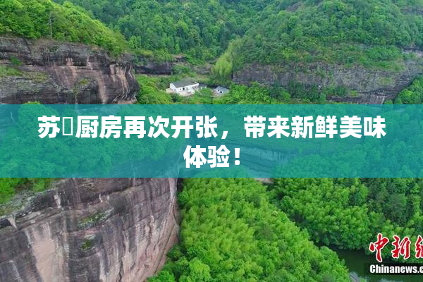 苏玥厨房再次开张，带来新鲜美味体验！