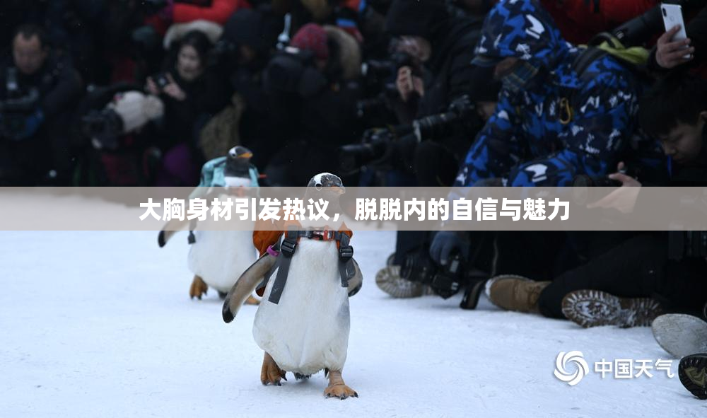 大胸身材引发热议，脱脱内的自信与魅力