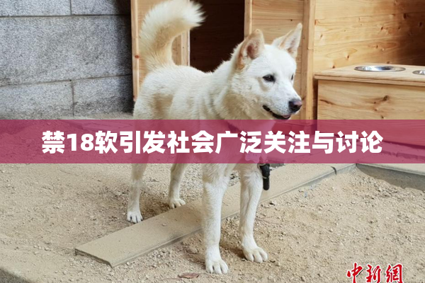 禁18软引发社会广泛关注与讨论