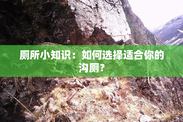 厕所小知识：如何选择适合你的沟厕？