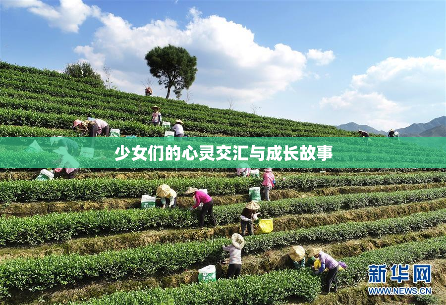 少女们的心灵交汇与成长故事