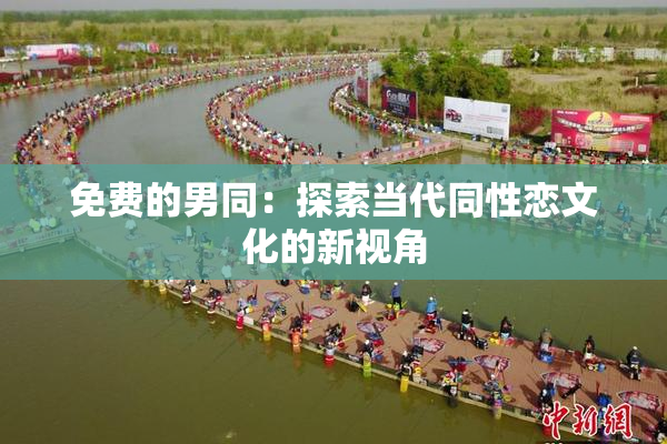 免费的男同：探索当代同性恋文化的新视角