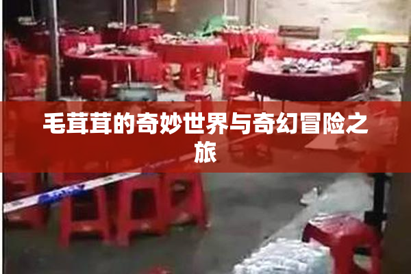毛茸茸的奇妙世界与奇幻冒险之旅