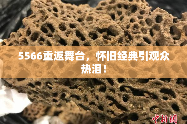 5566重返舞台，怀旧经典引观众热泪！