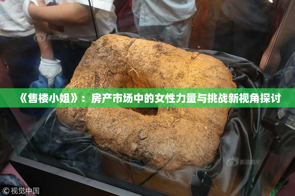 《售楼小姐》：房产市场中的女性力量与挑战新视角探讨