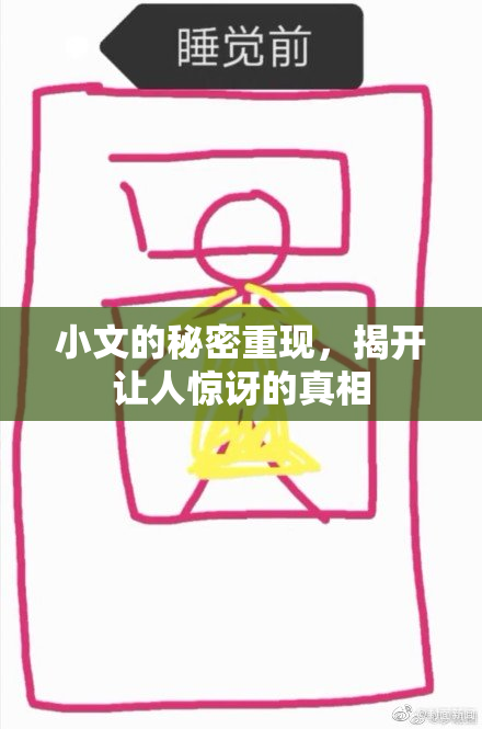 小文的秘密重现，揭开让人惊讶的真相