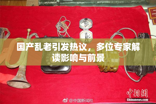 国产乱老引发热议，多位专家解读影响与前景