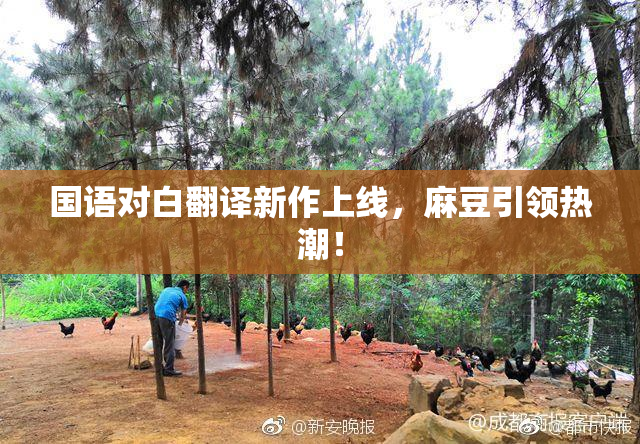 国语对白翻译新作上线，麻豆引领热潮！
