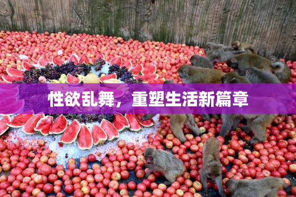 性欲乱舞，重塑生活新篇章