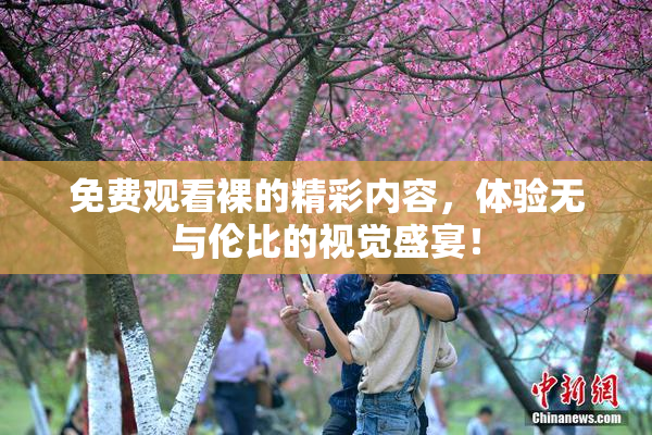 免费观看裸的精彩内容，体验无与伦比的视觉盛宴！