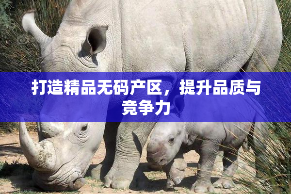 打造精品无码产区，提升品质与竞争力