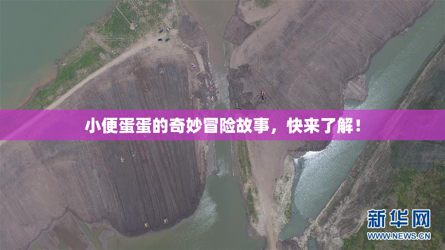 小便蛋蛋的奇妙冒险故事，快来了解！