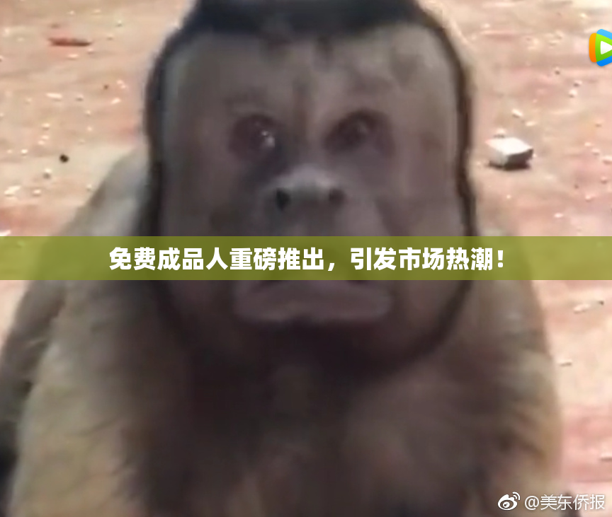 免费成品人重磅推出，引发市场热潮！