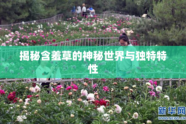 揭秘含羞草的神秘世界与独特特性