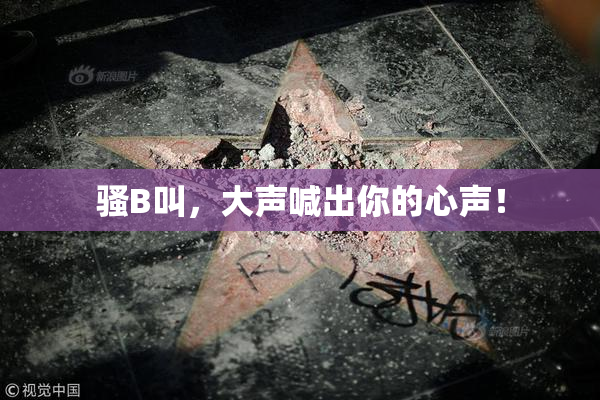 骚B叫，大声喊出你的心声！