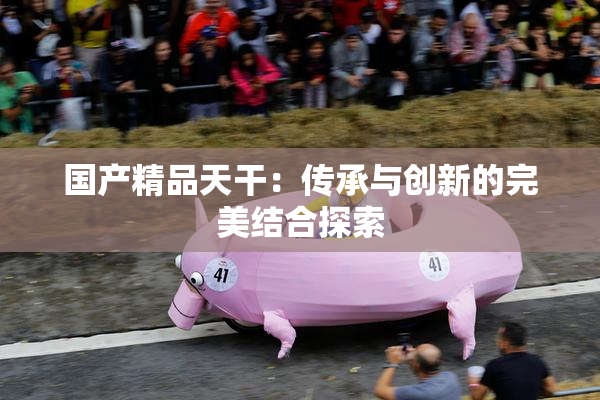 国产精品天干：传承与创新的完美结合探索