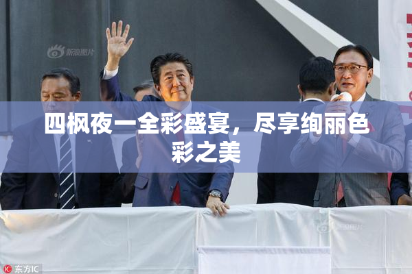 四枫夜一全彩盛宴，尽享绚丽色彩之美