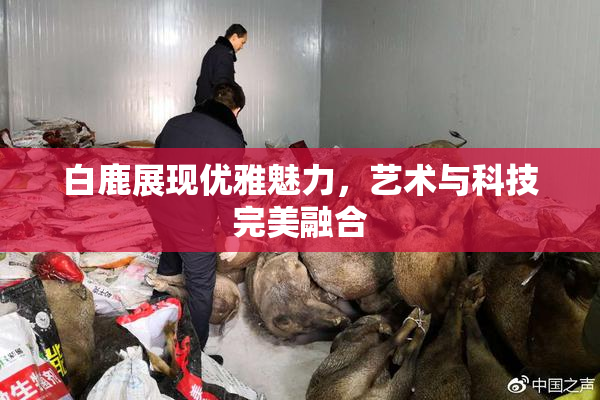 白鹿展现优雅魅力，艺术与科技完美融合