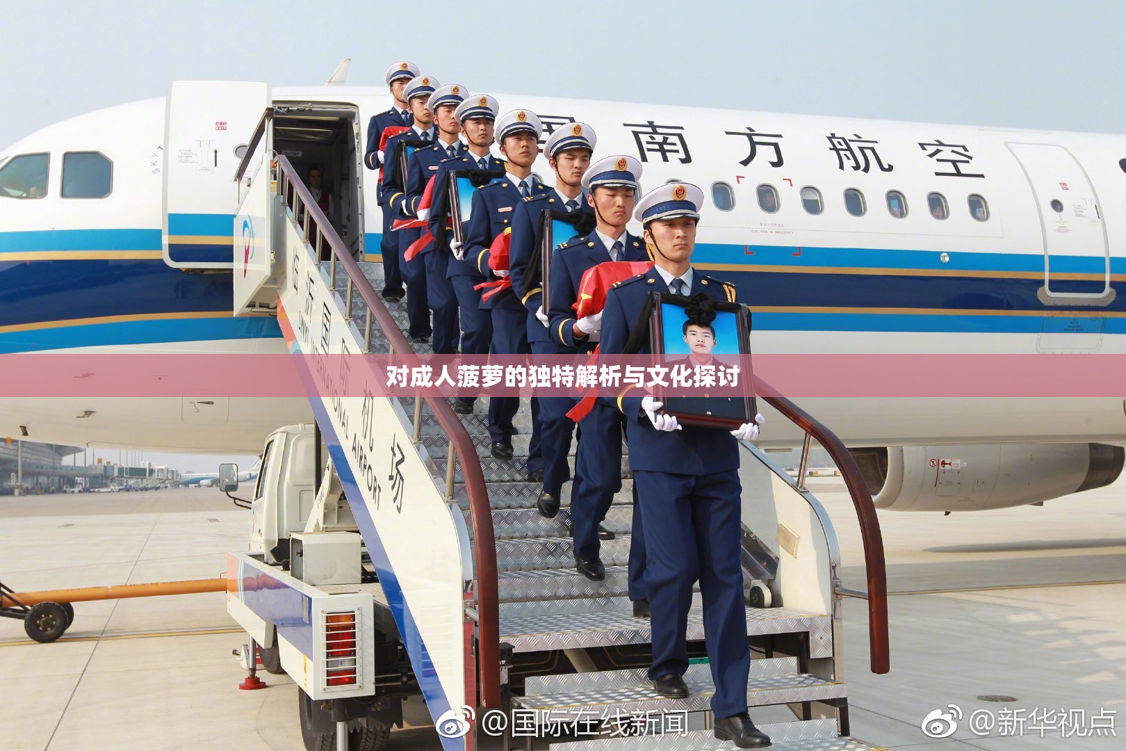 对成人菠萝的独特解析与文化探讨