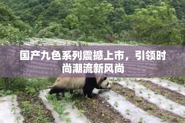 国产九色系列震撼上市，引领时尚潮流新风尚