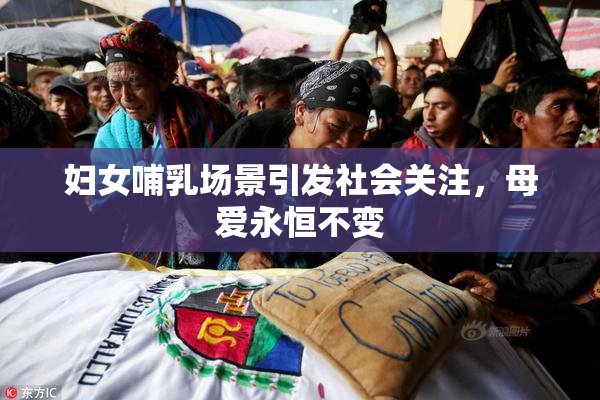 妇女哺乳场景引发社会关注，母爱永恒不变