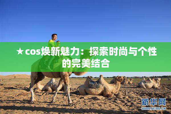 ★cos焕新魅力：探索时尚与个性的完美结合