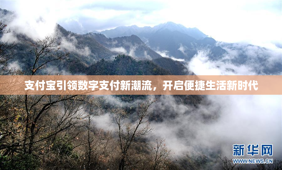支付宝引领数字支付新潮流，开启便捷生活新时代