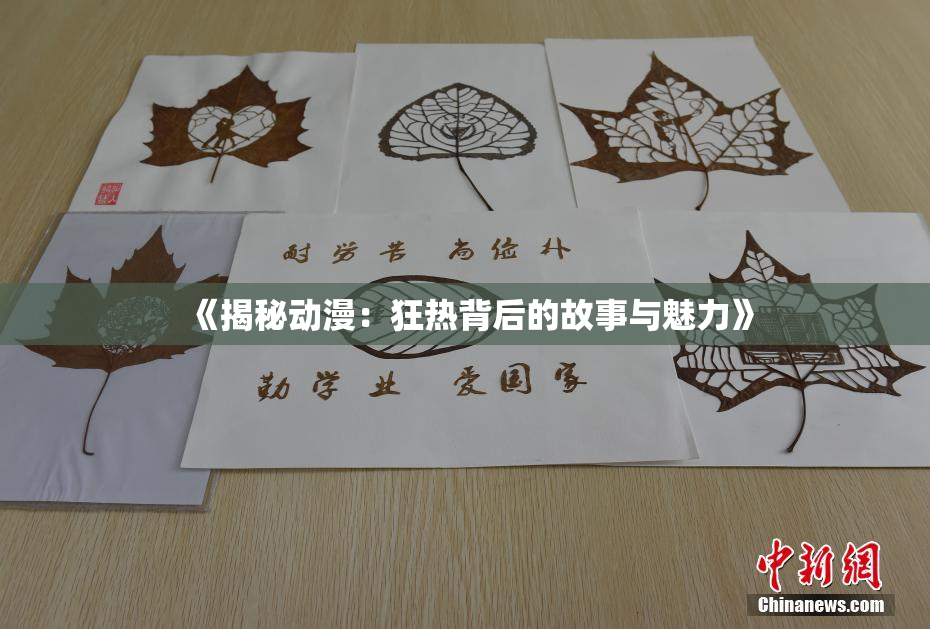 《揭秘动漫：狂热背后的故事与魅力》