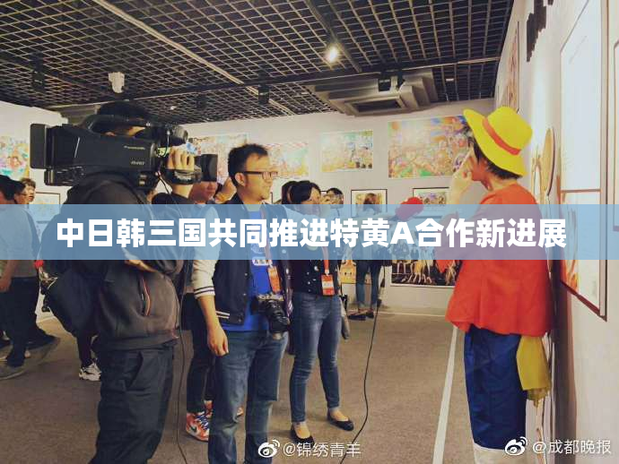 中日韩三国共同推进特黄A合作新进展