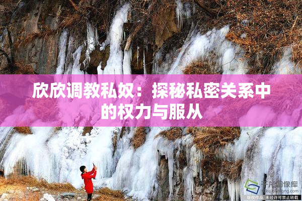 欣欣调教私奴：探秘私密关系中的权力与服从