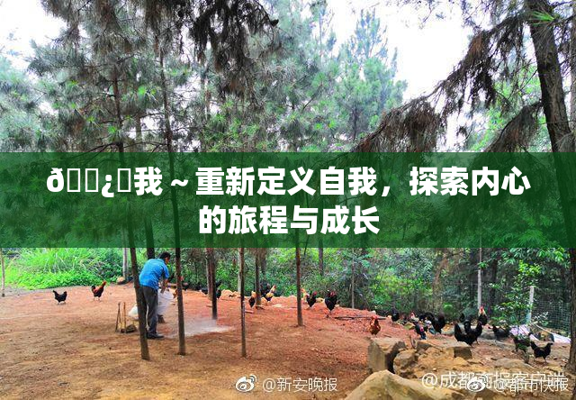 🌿‌我～重新定义自我，探索内心的旅程与成长