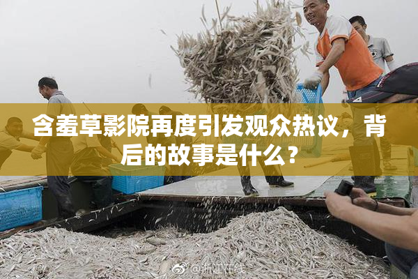含羞草影院再度引发观众热议，背后的故事是什么？