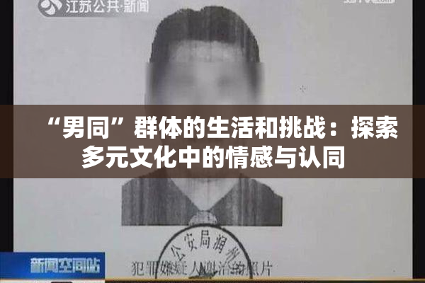 “男同”群体的生活和挑战：探索多元文化中的情感与认同