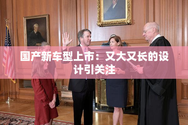 国产新车型上市：又大又长的设计引关注