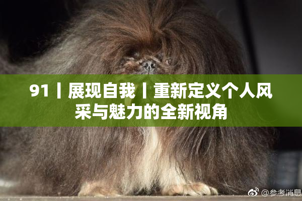 91丨展现自我丨重新定义个人风采与魅力的全新视角