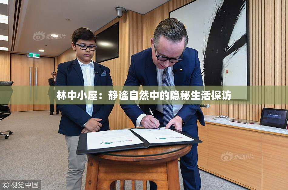 林中小屋：静谧自然中的隐秘生活探访