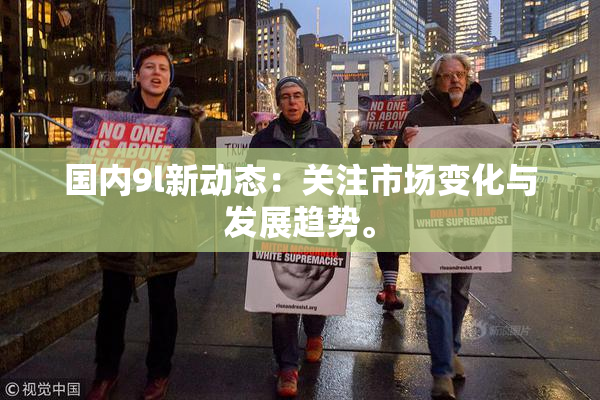 国内9l新动态：关注市场变化与发展趋势。