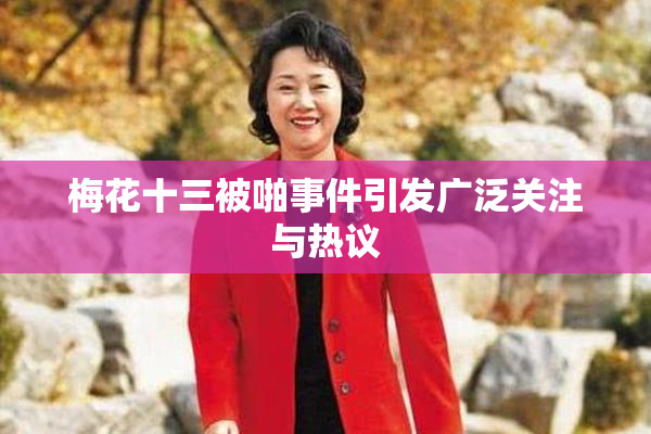 梅花十三被啪事件引发广泛关注与热议